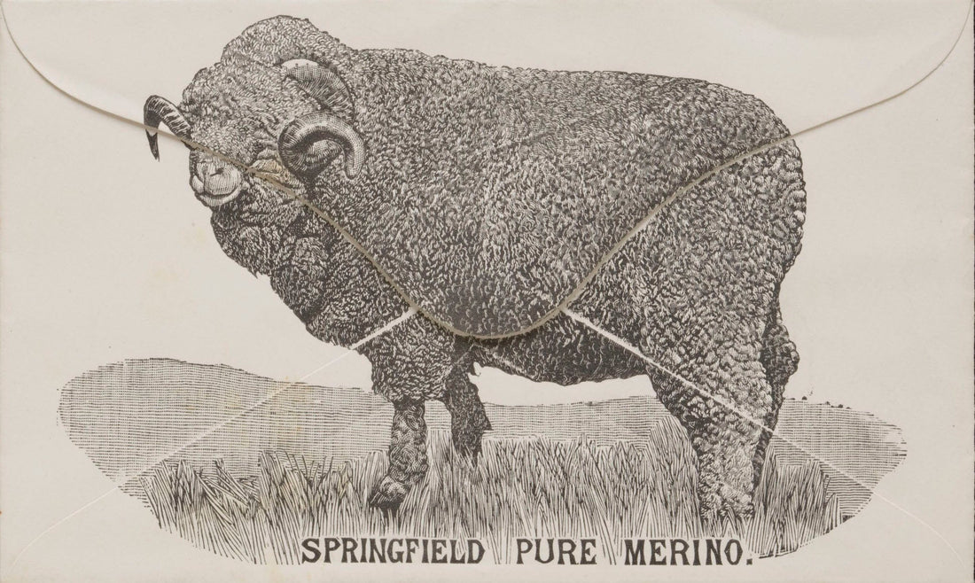 From Royal Flocks to Maker’s Hands: The Origin and Legacy of Australian Merino Yarn