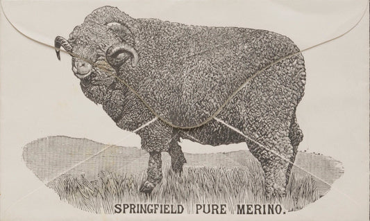 From Royal Flocks to Maker’s Hands: The Origin and Legacy of Australian Merino Yarn