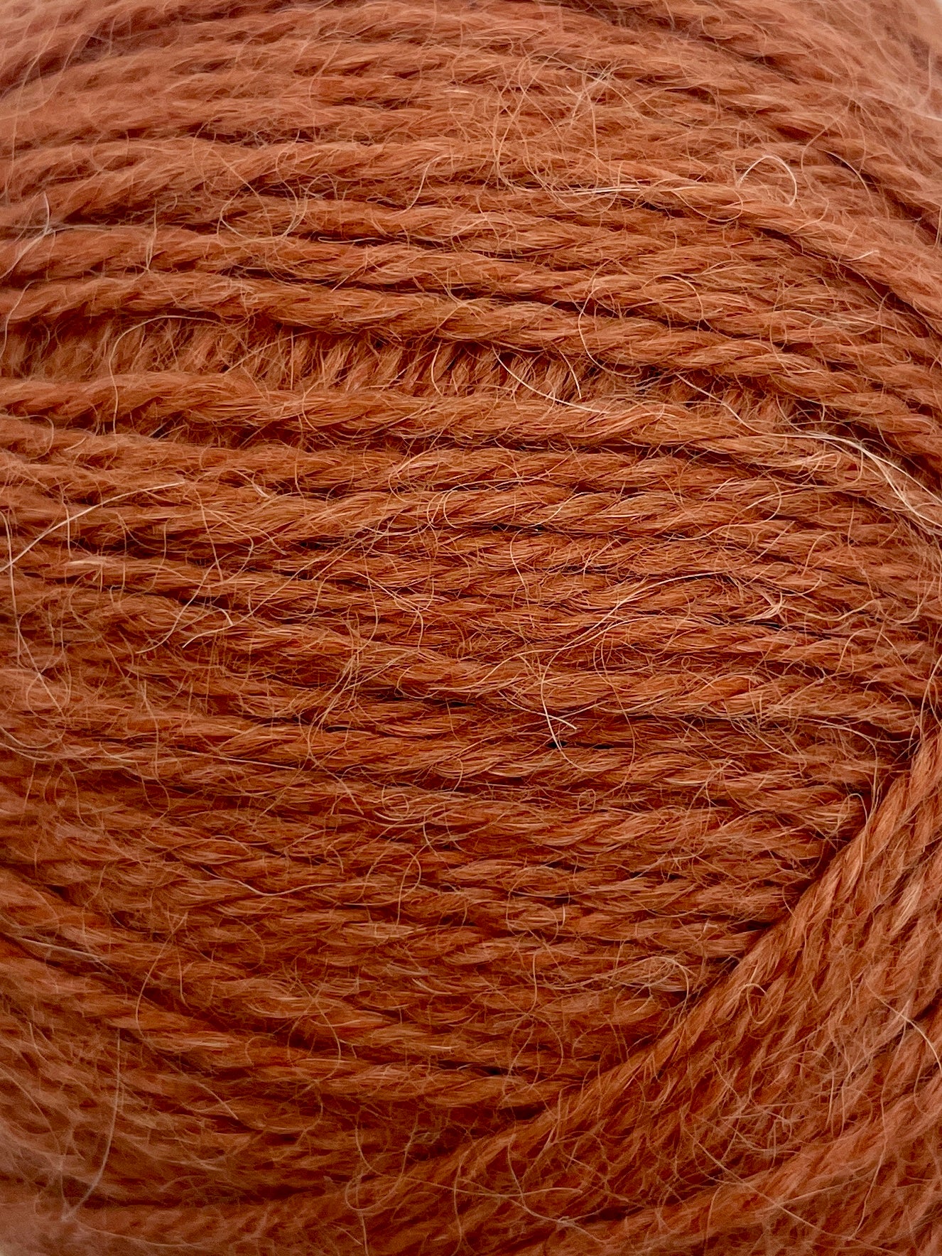 BABY ALPACA DK YARN LITTLE GARDEN- PUMPKIN SPICE